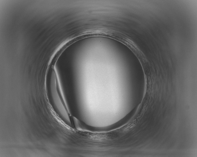 X0000080110788200612151645