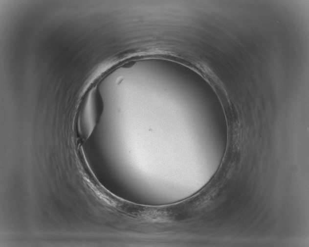 X0000080110789200612151645