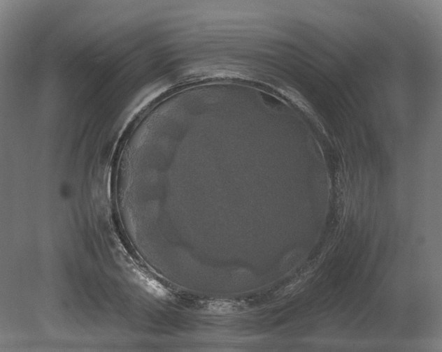 X0000080110790200612151645