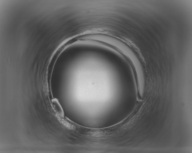 X0000080110792200612151645