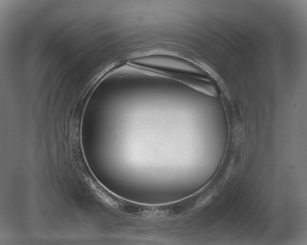 X0000080110793200612151645