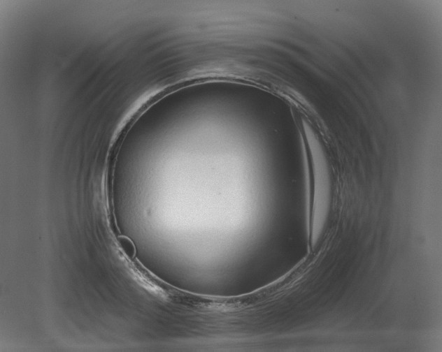 X0000080110796200612151645