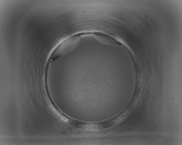 X0000080110797200612151645