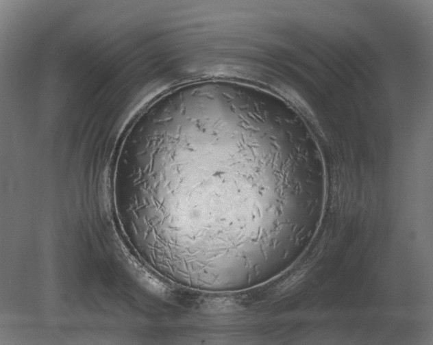 X0000080110798200612151645