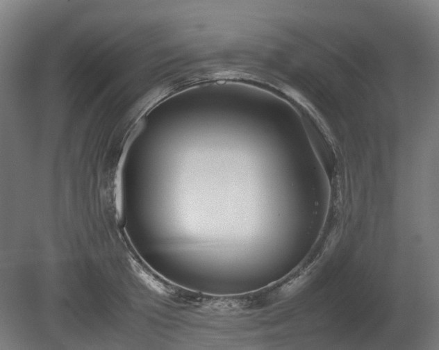X0000080110801200612151645