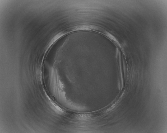 X0000080110802200612151645