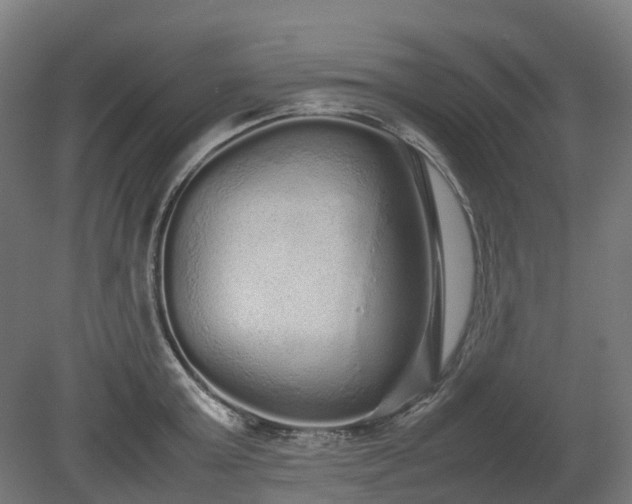 X0000080110803200612151645
