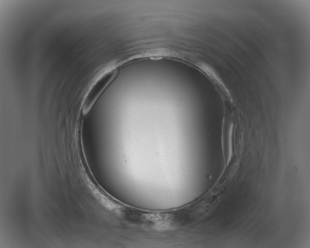 X0000080110805200612151645