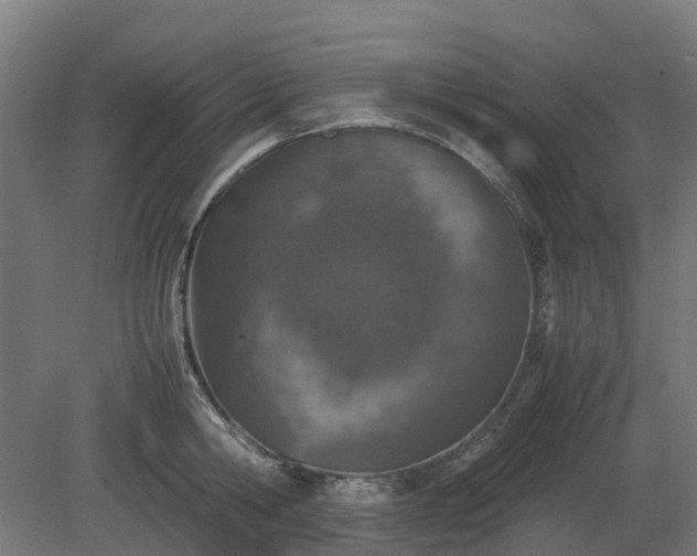 X0000080110806200612151645
