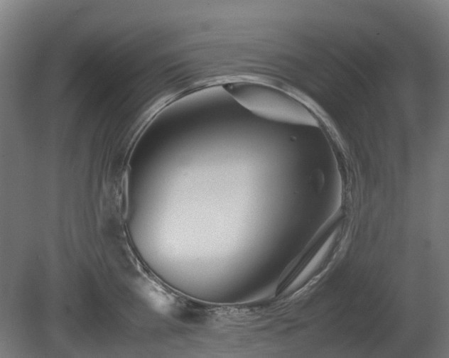 X0000080110809200612151645