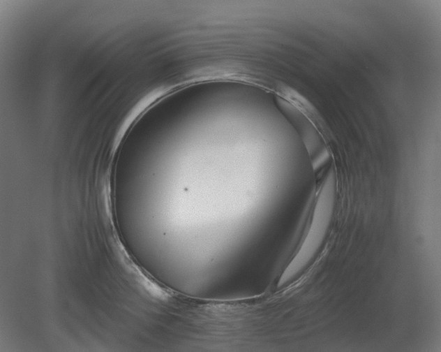 X0000080110812200612151645