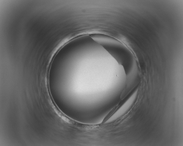 X0000080110813200612151645