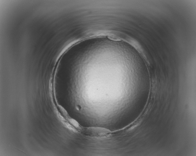 X0000080110814200612151645