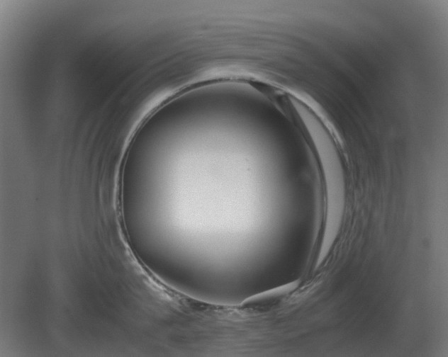 X0000080110815200612151645
