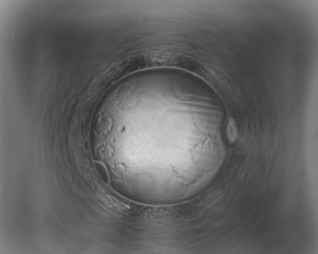 X0000080110817200612151644