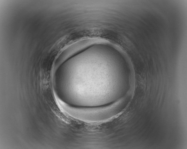 X0000080110818200612151644