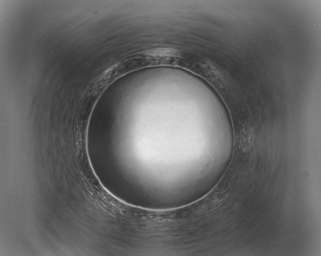X0000080110821200612151644