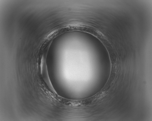 X0000080110822200612151644
