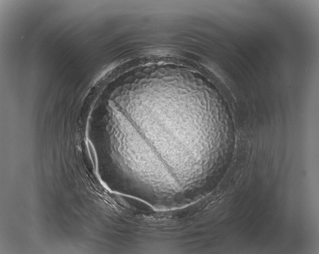 X0000080110823200612151644