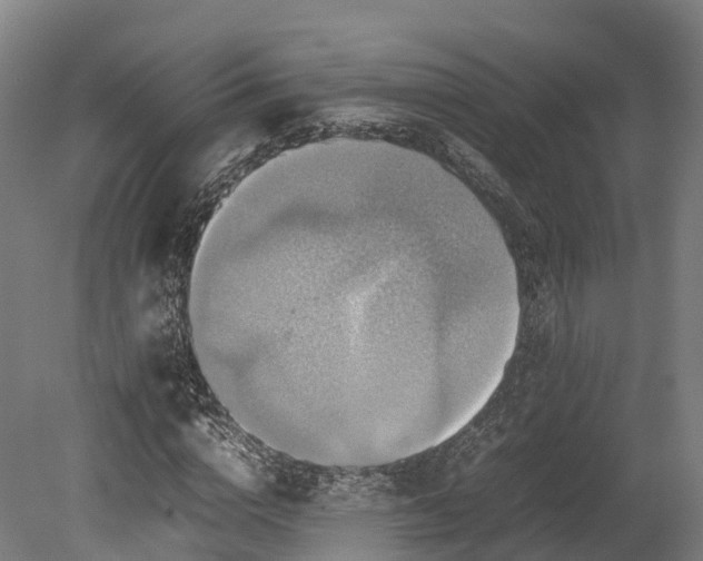 X0000080110824200612151644