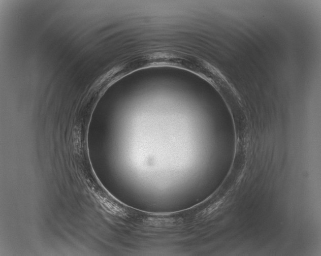 X0000080110825200612151644