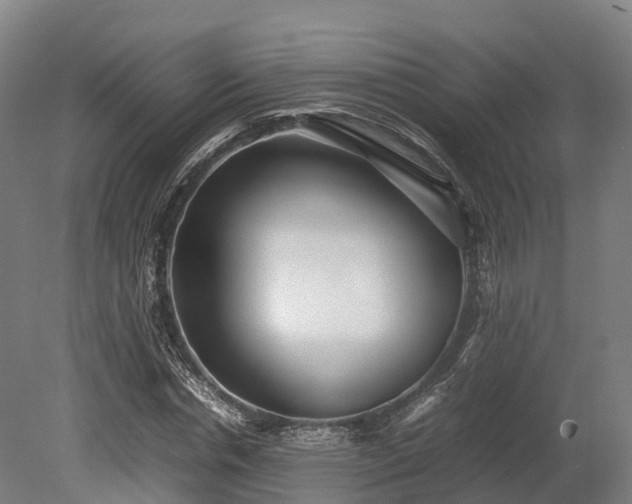 X0000080110826200612151644