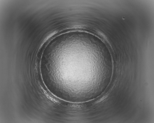 X0000080110827200612151644