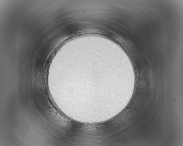 X0000080110828200612151644
