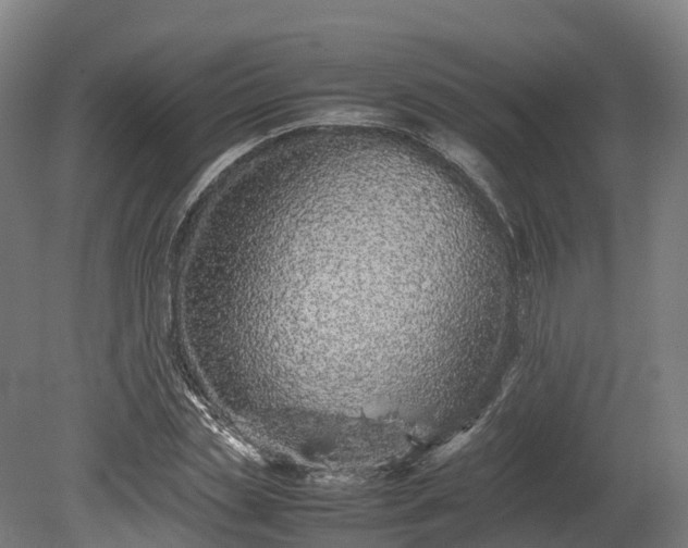 X0000080110829200612151644