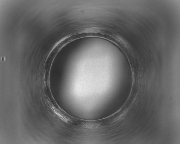 X0000080110830200612151644
