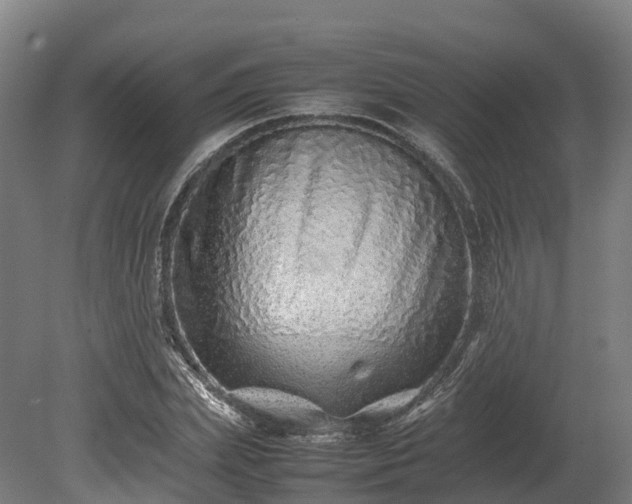 X0000080110831200612151644