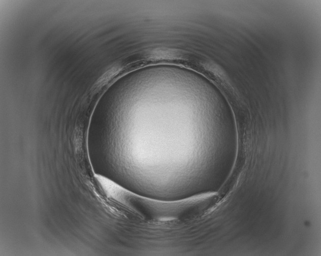 X0000080110833200612151644