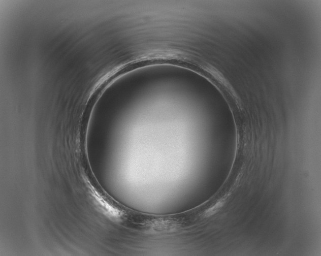 X0000080110834200612151644