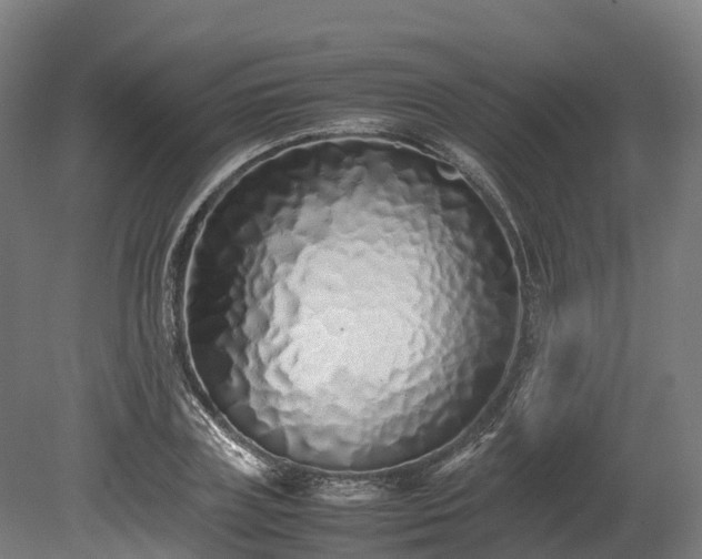 X0000080110835200612151644