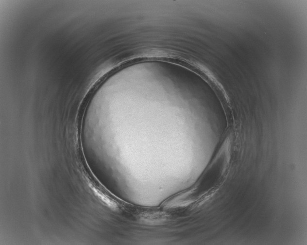 X0000080110837200612151644