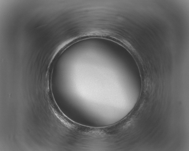 X0000080110838200612151645