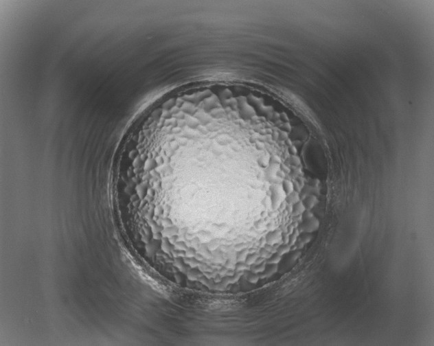 X0000080110839200612151645