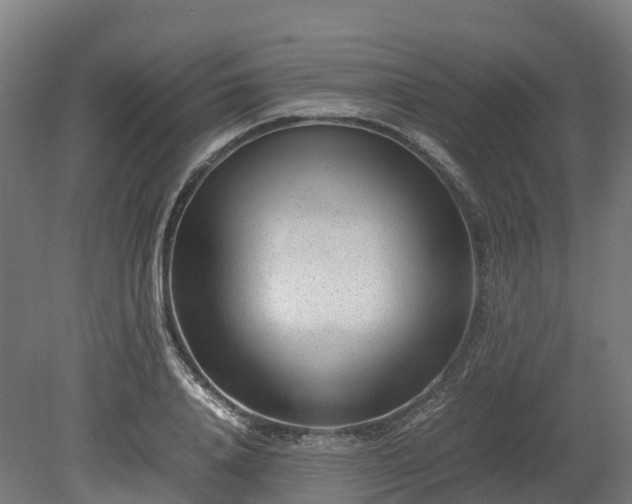 X0000080110840200612151645