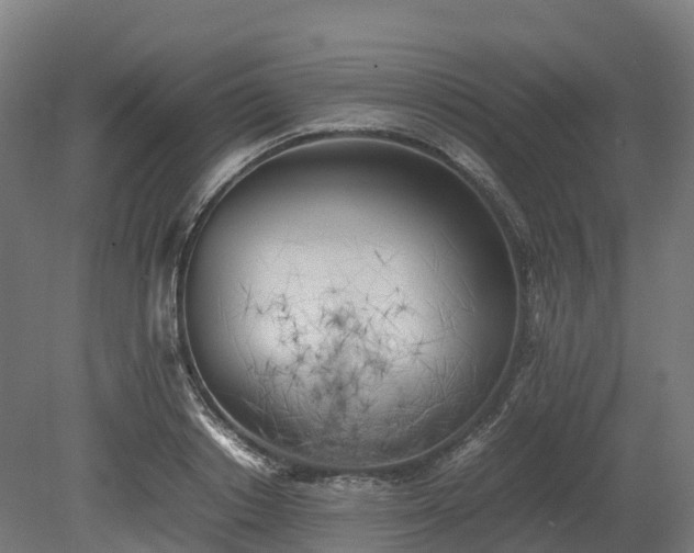 X0000080110842200612151645