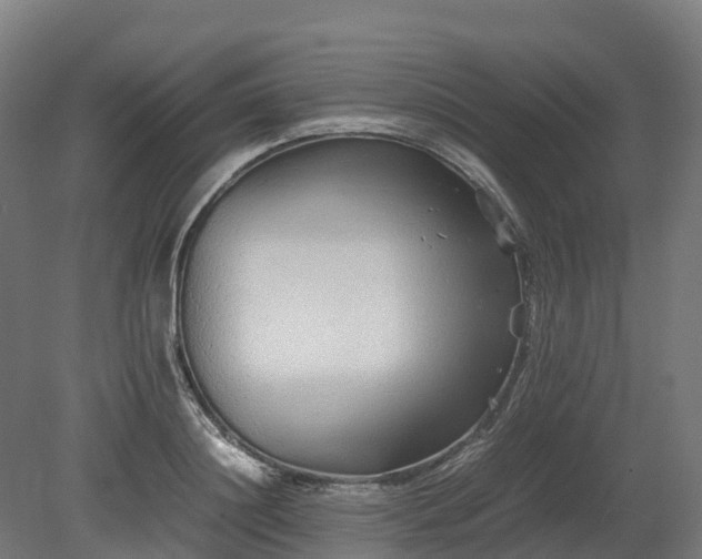 X0000080110844200612151645