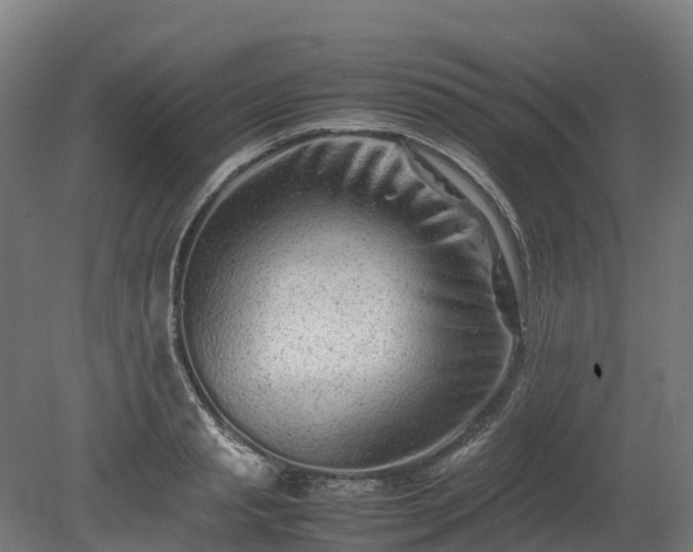 X0000080110845200612151645