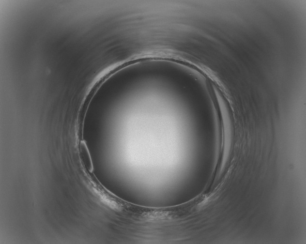 X0000080110846200612151645