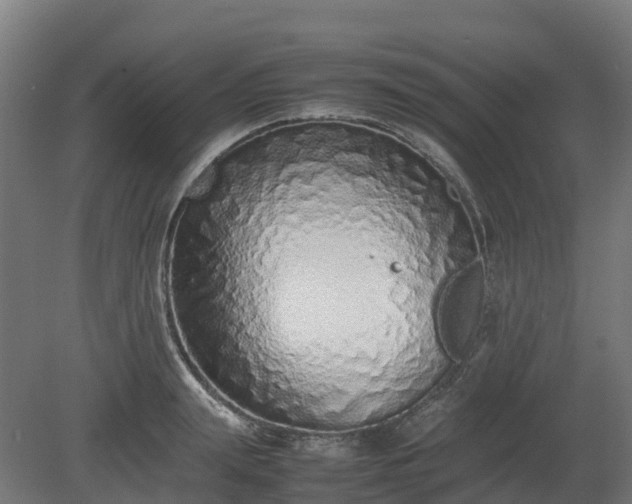 X0000080110847200612151645