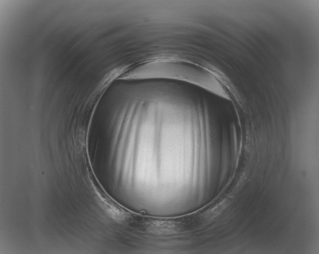X0000080110849200612151645