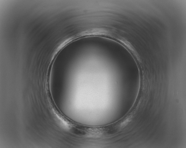 X0000080110850200612151645