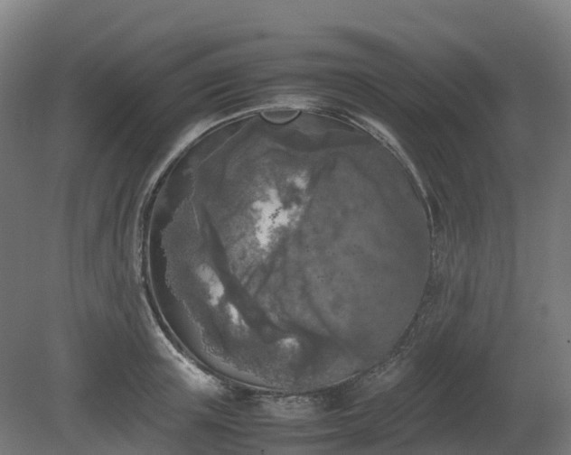 X0000080110851200612151645