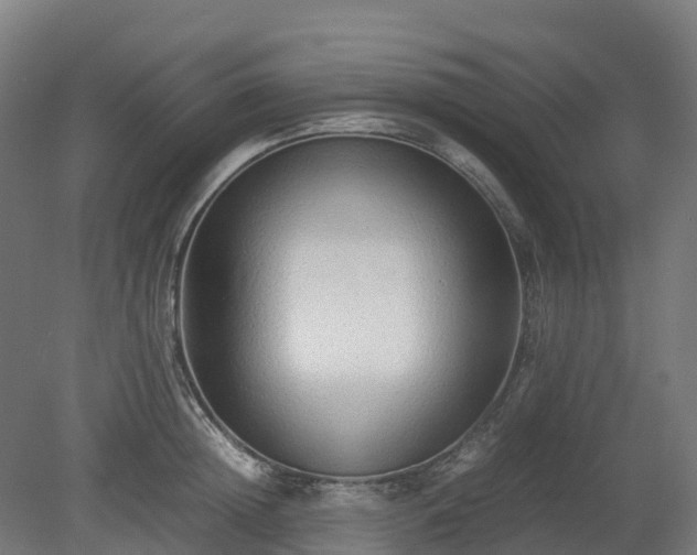 X0000080110852200612151645