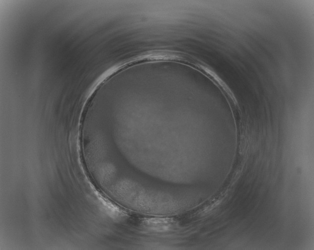 X0000080110853200612151645