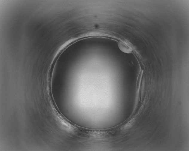 X0000080110854200612151645