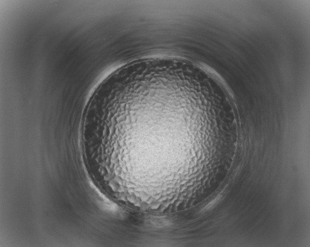 X0000080110855200612151645